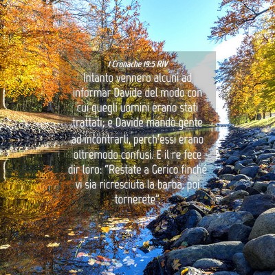 Picture 04 - 1 Cronache 19:5 RIV - Intanto vennero alcuni ad informar Davide del - Bible Verse Picture
