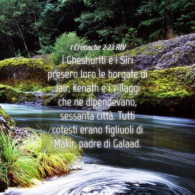 Picture 04 - 1 Cronache 2:23 RIV - I Gheshuriti e i Siri presero loro le borgate di - Bible Verse Picture