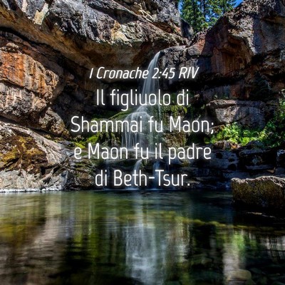 Picture 04 - 1 Cronache 2:45 RIV - Il figliuolo di Shammai fu Maon; e Maon fu il - Bible Verse Picture