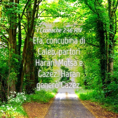 Picture 04 - 1 Cronache 2:46 RIV - Efa, concubina di Caleb, partorì Haran, Motsa e - Bible Verse Picture