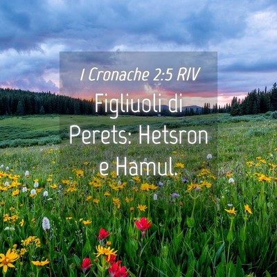 Picture 04 - 1 Cronache 2:5 RIV - Figliuoli di Perets: Hetsron e - Bible Verse Picture