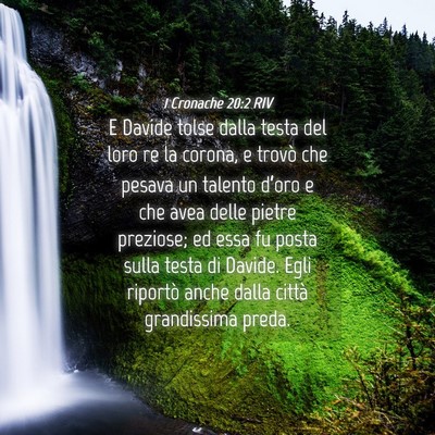 Picture 04 - 1 Cronache 20:2 RIV - E Davide tolse dalla testa del loro re la corona, - Bible Verse Picture
