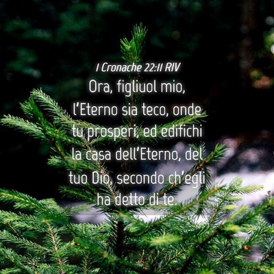 Picture 04 - 1 Cronache 22:11 RIV - Ora, figliuol mio, l’Eterno sia teco, onde tu - Bible Verse Picture