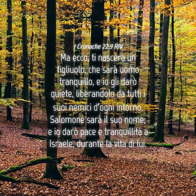 Picture 04 - 1 Cronache 22:9 RIV - Ma ecco, ti nascerà un figliuolo, che sarà uomo - Bible Verse Picture