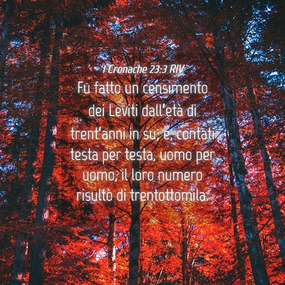Picture 04 - 1 Cronache 23:3 RIV - Fu fatto un censimento dei Leviti dall’età di - Bible Verse Picture