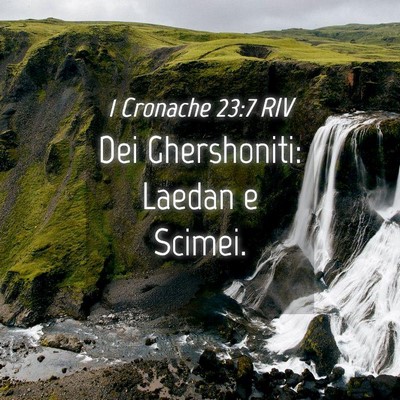 Picture 04 - 1 Cronache 23:7 RIV - Dei Ghershoniti: Laedan e - Bible Verse Picture