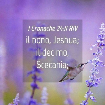 Picture 04 - 1 Cronache 24:11 RIV - il nono, Jeshua; il decimo, - Bible Verse Picture