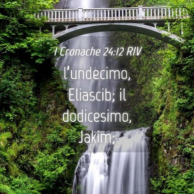 Picture 04 - 1 Cronache 24:12 RIV - l’undecimo, Eliascib; il dodicesimo, - Bible Verse Picture