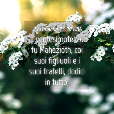 Picture 04 - 1 Cronache 25:30 RIV - il ventesimoterzo fu Mahazioth, coi suoi - Bible Verse Picture