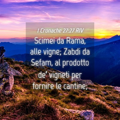 Picture 04 - 1 Cronache 27:27 RIV - Scimei da Rama, alle vigne; Zabdi da Sefam, al - Bible Verse Picture