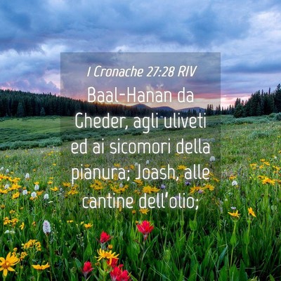 Picture 04 - 1 Cronache 27:28 RIV - Baal-Hanan da Gheder, agli uliveti ed ai sicomori - Bible Verse Picture