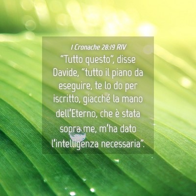 Picture 04 - 1 Cronache 28:19 RIV - “Tutto questo”, disse Davide, “tutto il - Bible Verse Picture