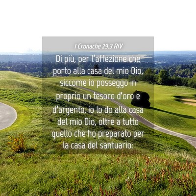 Picture 04 - 1 Cronache 29:3 RIV - Di più, per l’affezione che porto alla casa - Bible Verse Picture