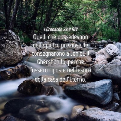 Picture 04 - 1 Cronache 29:8 RIV - Quelli che possedevano delle pietre preziose, le - Bible Verse Picture