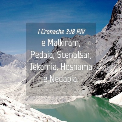 Picture 04 - 1 Cronache 3:18 RIV - e Malkiram, Pedaia, Scenatsar, Jekamia, Hoshama e - Bible Verse Picture