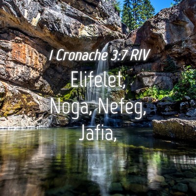 Picture 04 - 1 Cronache 3:7 RIV - Elifelet, Noga, Nefeg, - Bible Verse Picture