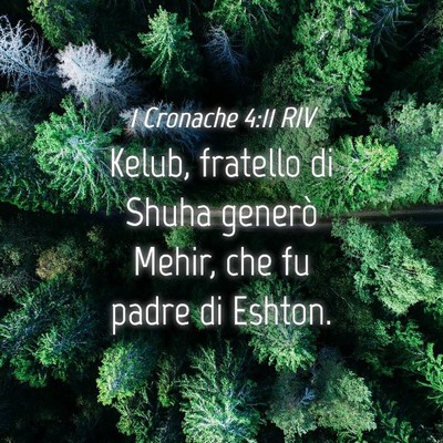 Picture 04 - 1 Cronache 4:11 RIV - Kelub, fratello di Shuha generò Mehir, che fu - Bible Verse Picture