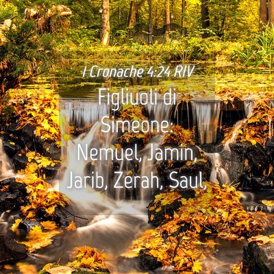Picture 04 - 1 Cronache 4:24 RIV - Figliuoli di Simeone: Nemuel, Jamin, Jarib, - Bible Verse Picture