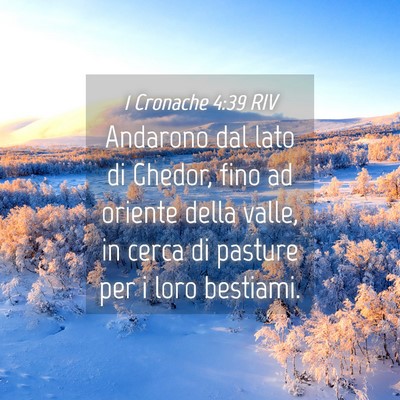 Picture 04 - 1 Cronache 4:39 RIV - Andarono dal lato di Ghedor, fino ad oriente - Bible Verse Picture