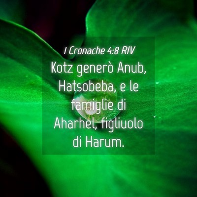 Picture 04 - 1 Cronache 4:8 RIV - Kotz generò Anub, Hatsobeba, e le famiglie di - Bible Verse Picture