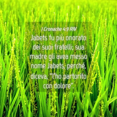 Picture 04 - 1 Cronache 4:9 RIV - Jabets fu più onorato dei suoi fratelli; sua - Bible Verse Picture