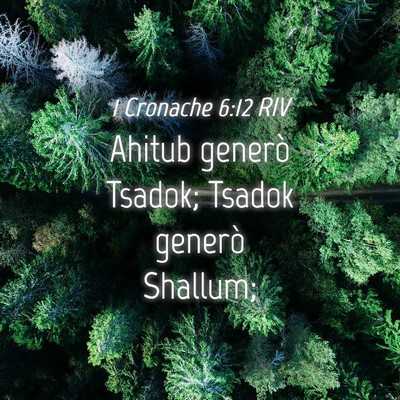 Picture 04 - 1 Cronache 6:12 RIV - Ahitub generò Tsadok; Tsadok generò - Bible Verse Picture