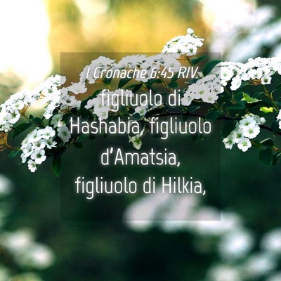 Picture 04 - 1 Cronache 6:45 RIV - figliuolo di Hashabia, figliuolo d’Amatsia, - Bible Verse Picture