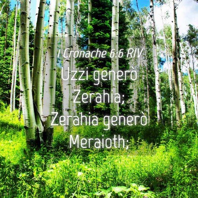 Picture 04 - 1 Cronache 6:6 RIV - Uzzi generò Zerahia; Zerahia generò - Bible Verse Picture