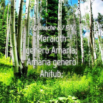Picture 04 - 1 Cronache 6:7 RIV - Meraioth generò Amaria; Amaria generò - Bible Verse Picture
