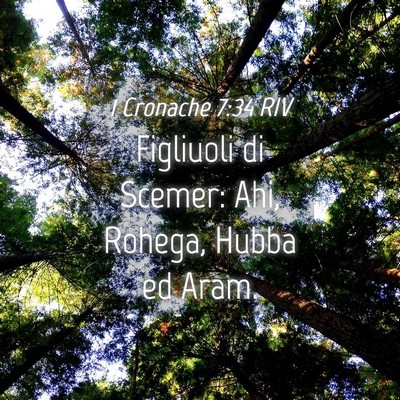 Picture 04 - 1 Cronache 7:34 RIV - Figliuoli di Scemer: Ahi, Rohega, Hubba ed - Bible Verse Picture