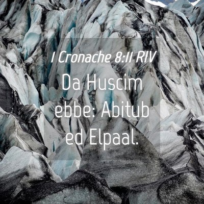 Picture 04 - 1 Cronache 8:11 RIV - Da Huscim ebbe: Abitub ed - Bible Verse Picture