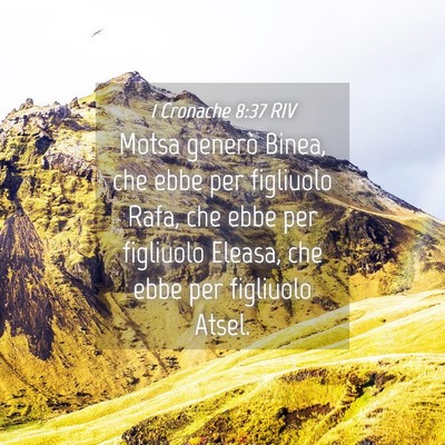 Picture 04 - 1 Cronache 8:37 RIV - Motsa generò Binea, che ebbe per figliuolo Rafa, - Bible Verse Picture
