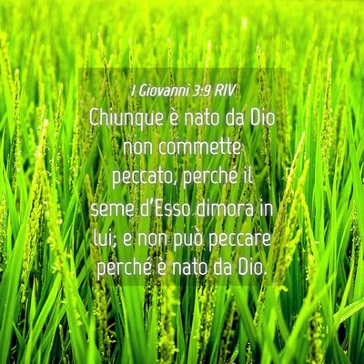 Picture 04 - 1 Giovanni 3:9 RIV - Chiunque è nato da Dio non commette peccato, - Bible Verse Picture