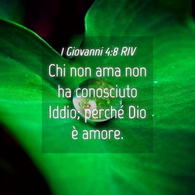 Picture 04 - 1 Giovanni 4:8 RIV - Chi non ama non ha conosciuto Iddio; perché Dio - Bible Verse Picture