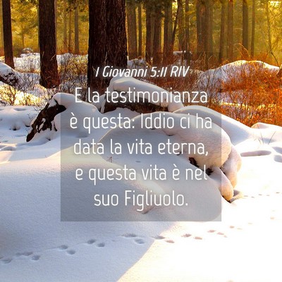 Picture 04 - 1 Giovanni 5:11 RIV - E la testimonianza è questa: Iddio ci ha data la - Bible Verse Picture