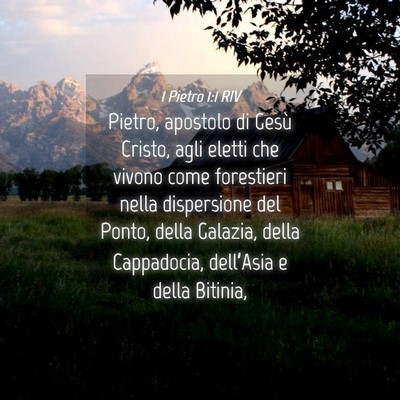 Picture 04 - 1 Pietro 1:1 RIV - Pietro, apostolo di Gesù Cristo, agli eletti che - Bible Verse Picture