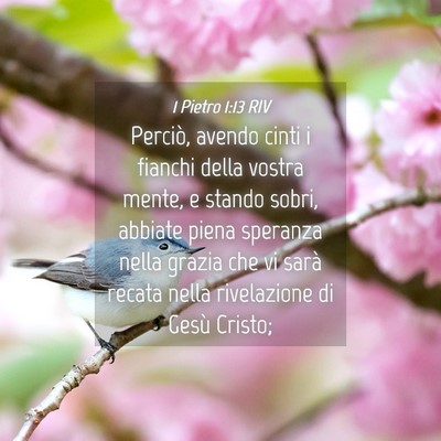 Picture 04 - 1 Pietro 1:13 RIV - Perciò, avendo cinti i fianchi della vostra - Bible Verse Picture