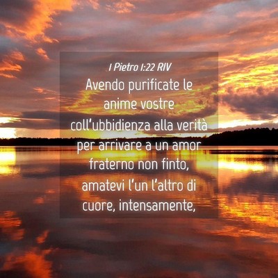Picture 04 - 1 Pietro 1:22 RIV - Avendo purificate le anime vostre - Bible Verse Picture
