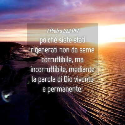 Picture 04 - 1 Pietro 1:23 RIV - poiché siete stati rigenerati non da seme - Bible Verse Picture