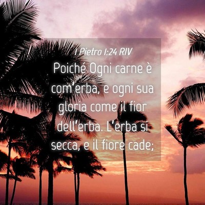 Picture 04 - 1 Pietro 1:24 RIV - Poiché Ogni carne è com’erba, e ogni sua - Bible Verse Picture