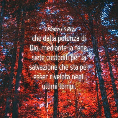 Picture 04 - 1 Pietro 1:5 RIV - che dalla potenza di Dio, mediante la fede, siete - Bible Verse Picture