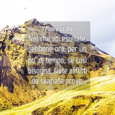 Picture 04 - 1 Pietro 1:6 RIV - Nel che voi esultate, sebbene ora, per un po’ - Bible Verse Picture