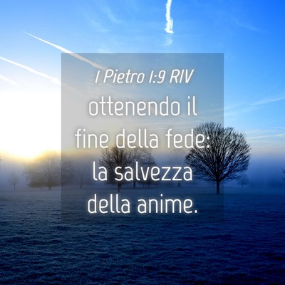 Picture 04 - 1 Pietro 1:9 RIV - ottenendo il fine della fede: la salvezza della - Bible Verse Picture