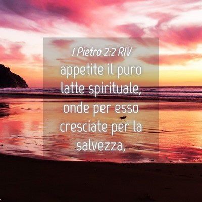 Picture 04 - 1 Pietro 2:2 RIV - appetite il puro latte spirituale, onde per esso - Bible Verse Picture