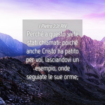 Picture 04 - 1 Pietro 2:21 RIV - Perché a questo siete stati chiamati: poiché - Bible Verse Picture