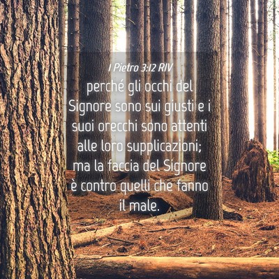 Picture 04 - 1 Pietro 3:12 RIV - perché gli occhi del Signore sono sui giusti e i - Bible Verse Picture