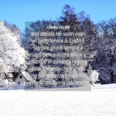 Picture 04 - 1 Pietro 3:15 RIV - anzi abbiate nei vostri cuori un santo timore di - Bible Verse Picture