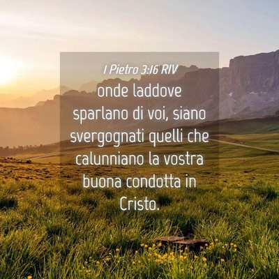Picture 04 - 1 Pietro 3:16 RIV - onde laddove sparlano di voi, siano svergognati - Bible Verse Picture