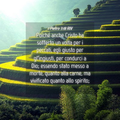 Picture 04 - 1 Pietro 3:18 RIV - Poiché anche Cristo ha sofferto un volta per i - Bible Verse Picture