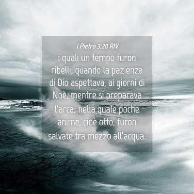 Picture 04 - 1 Pietro 3:20 RIV - i quali un tempo furon ribelli, quando la - Bible Verse Picture
